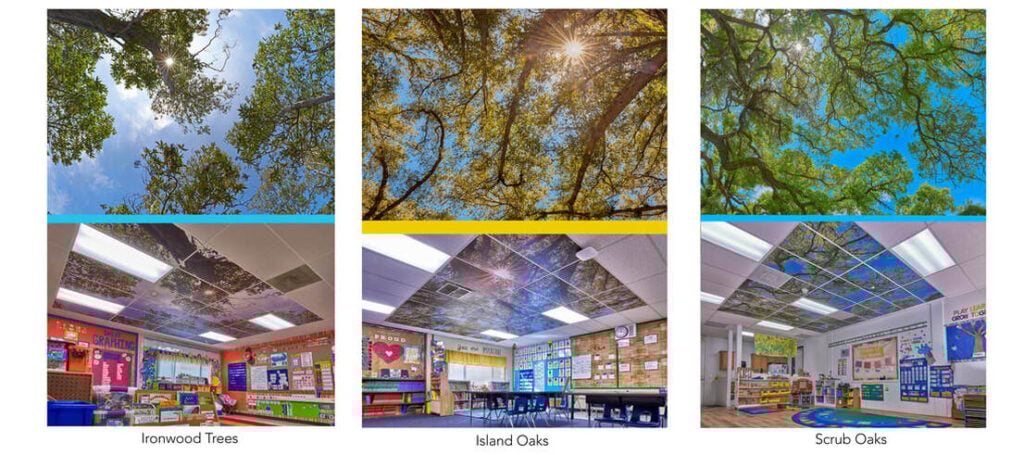 click to download the zip file of canopies selected and how they look in the classrooms