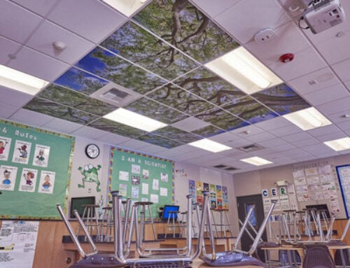 Cesar Chavez Academy: Corona, CA