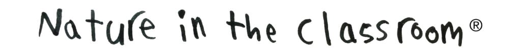 nitcwordlogo_orig right click to save