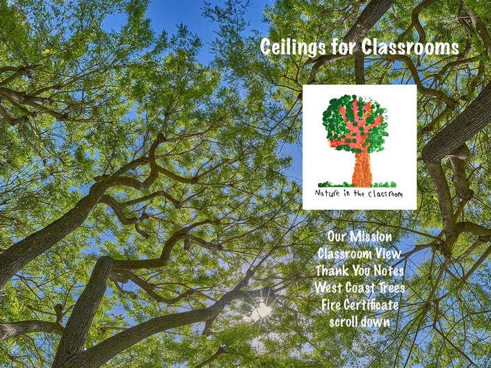 Click for the PDF catalog of West Coast trees