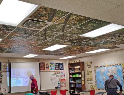 Getting Smart: The Restorative Benefits of Nature Indoors