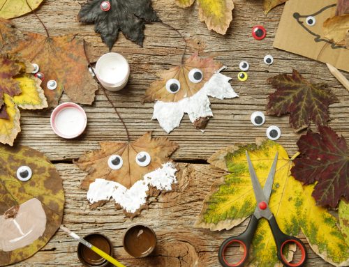 The Educators Room: Enhancing Tranquility in a Classroom